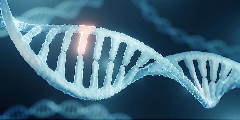 New combination of the two methods, CRISPR-Cas9 and Single-Strand Annealing), enables efficient genome-wide modifications.